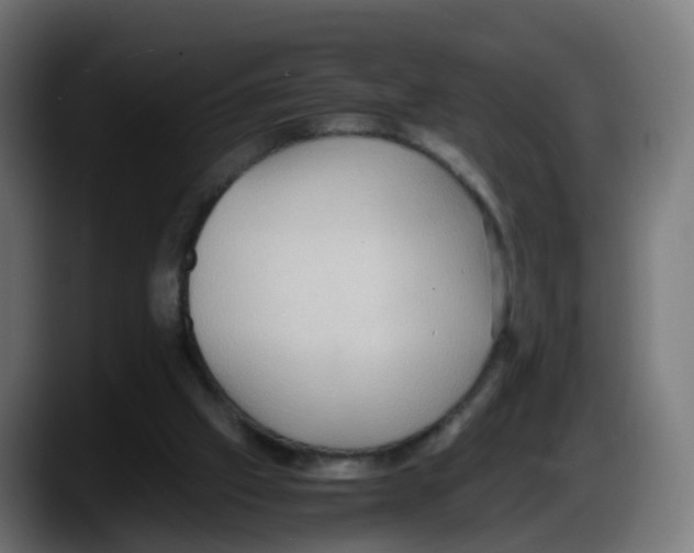 X0000087560057200705251808