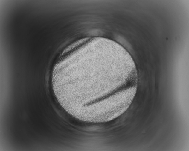 X0000087560058200705251808