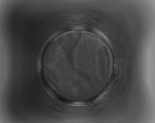 X0000087560059200705251808