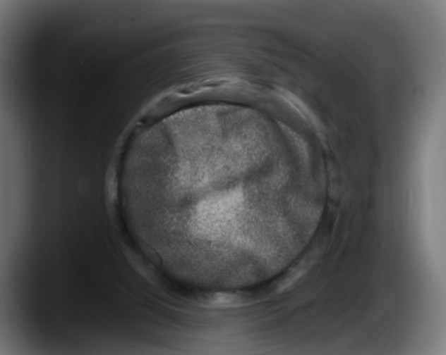 X0000087560060200705251808