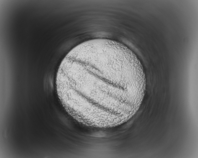 X0000087560062200705251808