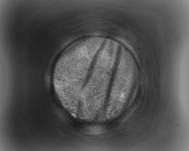 X0000087560063200705251808