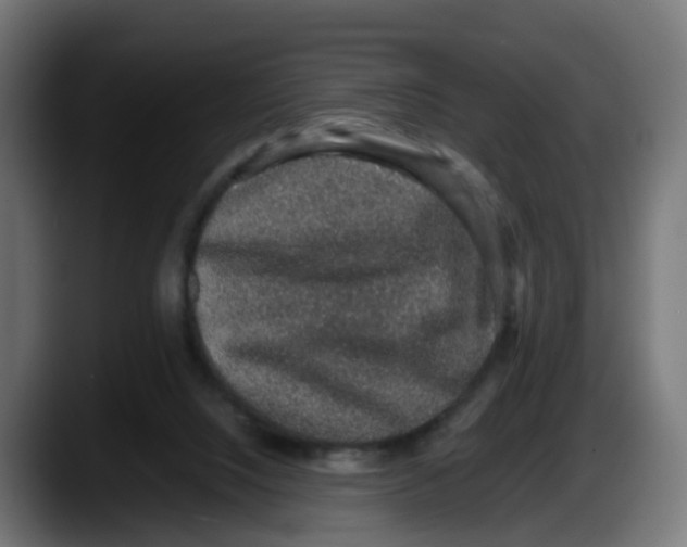 X0000087560064200705251808