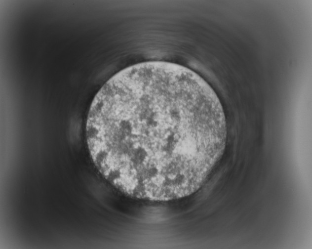 X0000087560066200705251808