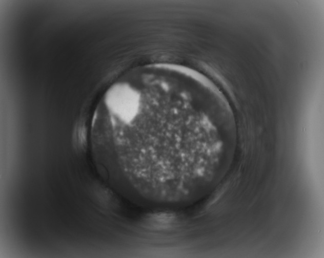 X0000087560067200705251808