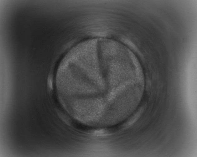X0000087560068200705251808