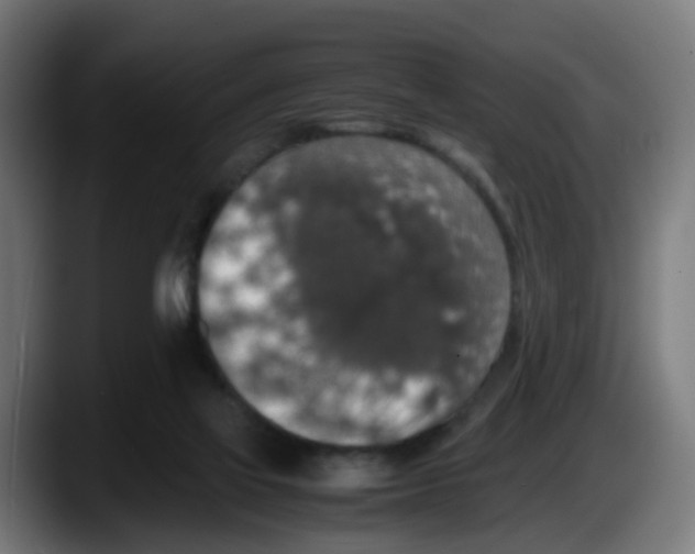 X0000087560069200705251808