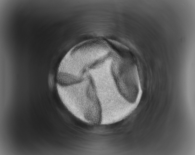 X0000087560070200705251808