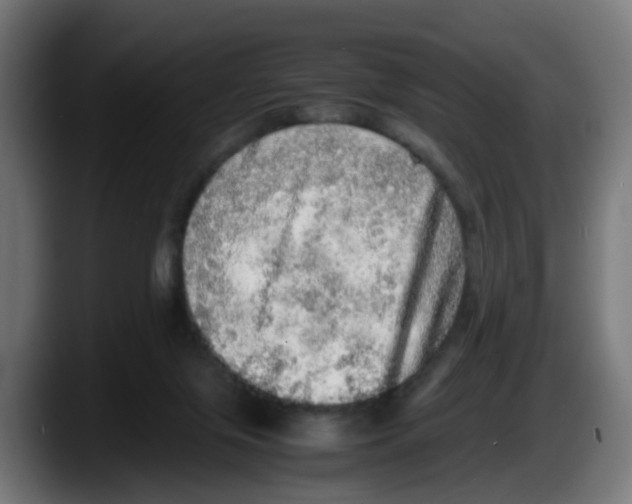 X0000087560071200705251809
