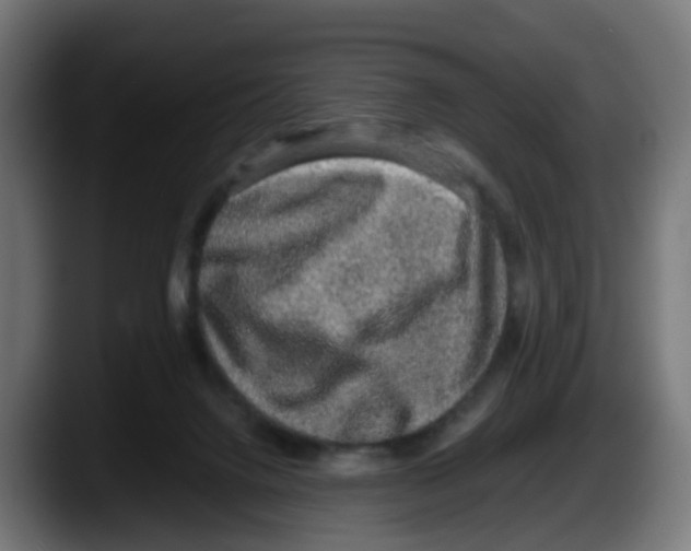 X0000087560072200705251809