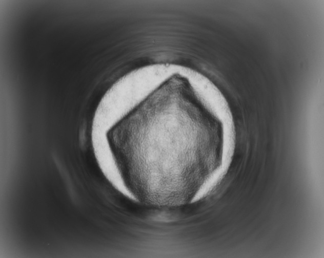 X0000087560074200705251809