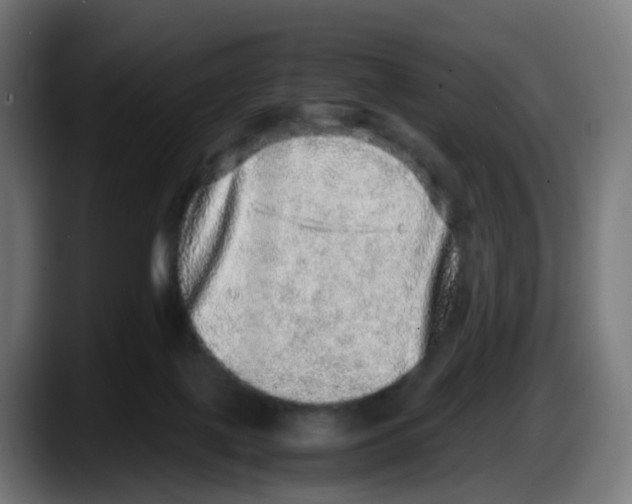 X0000087560075200705251809