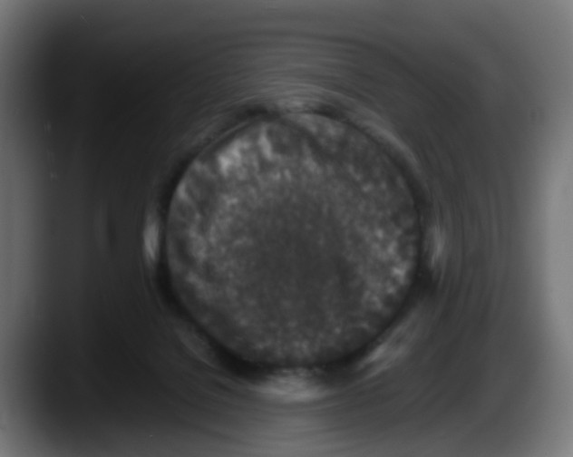 X0000087560076200705251809