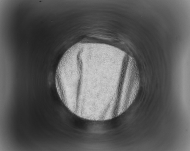 X0000087560077200705251809