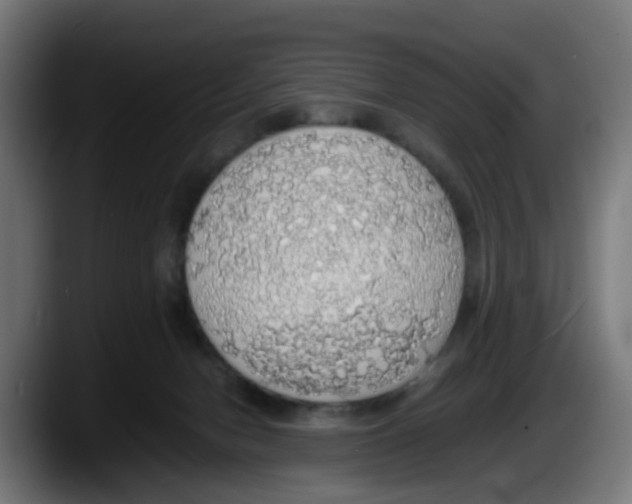 X0000087560078200705251809