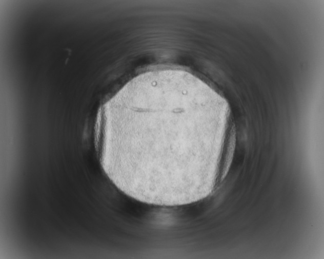X0000087560082200705251809
