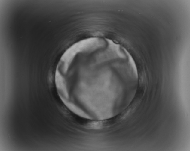 X0000087560084200705251809