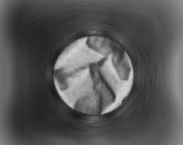X0000087560085200705251809