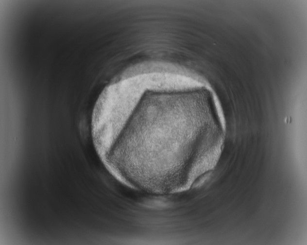 X0000087560086200705251809