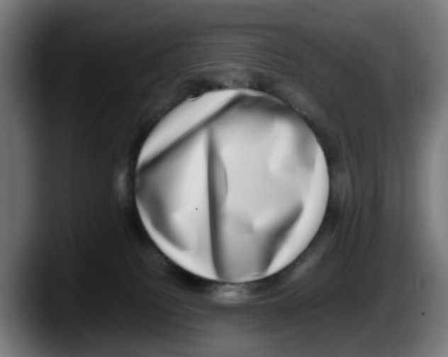X0000087560088200705251809