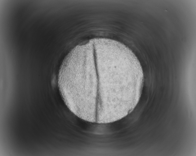 X0000087560089200705251809