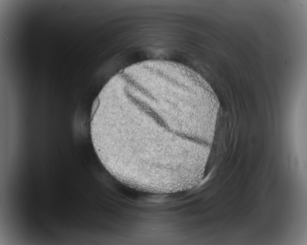 X0000087560090200705251809