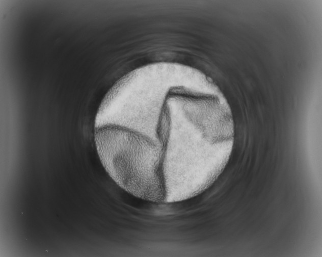 X0000087560091200705251809