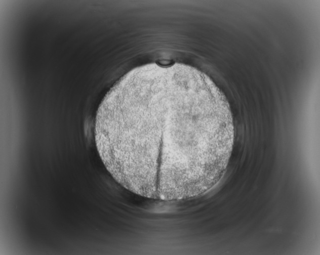 X0000087560094200705251809