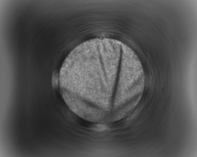 X0000087560095200705251809