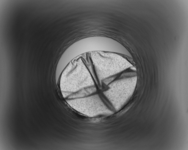 X0000087560096200705251809
