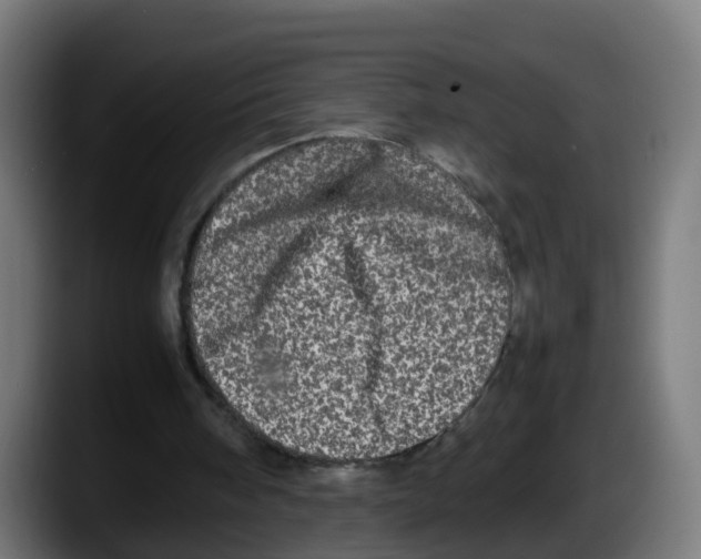 X0000087560098200705251808