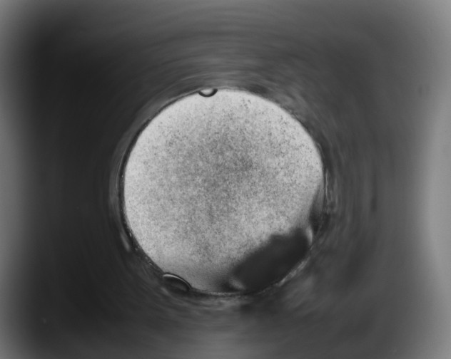 X0000087560099200705251808