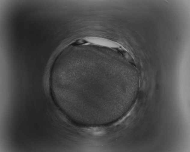 X0000087560101200705251808