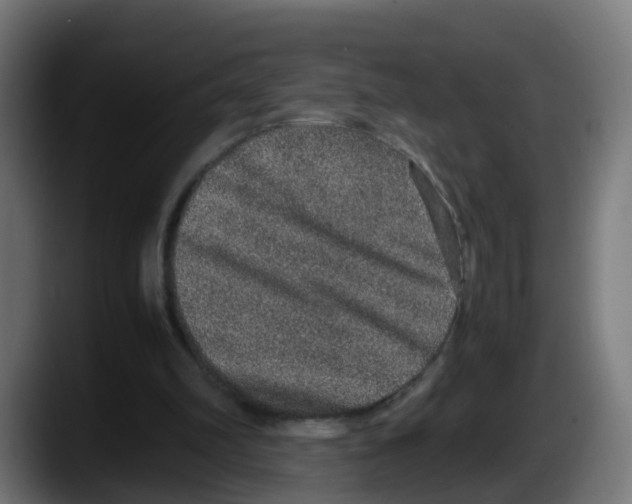 X0000087560102200705251808