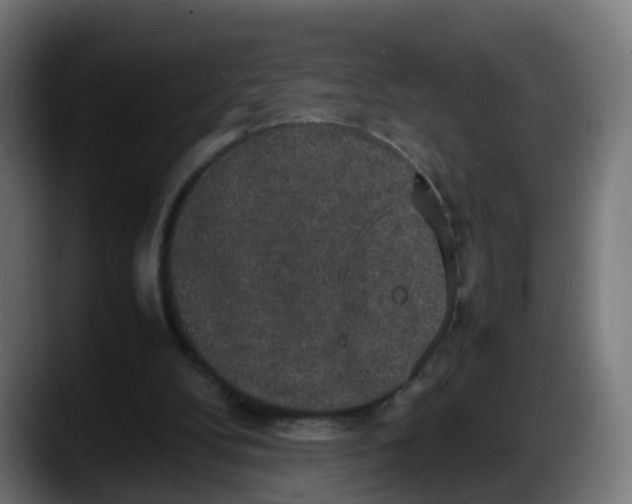 X0000087560104200705251808