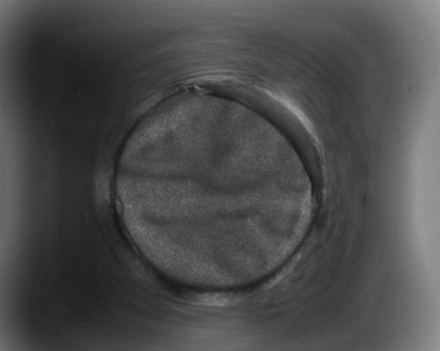 X0000087560105200705251808