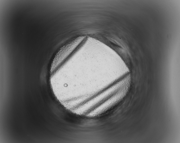 X0000087560107200705251808