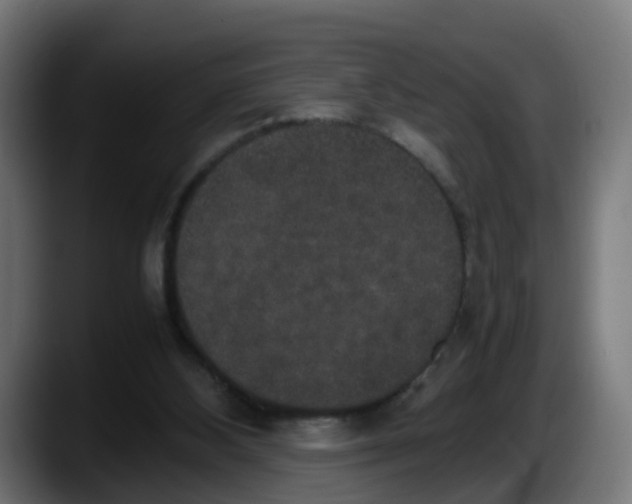 X0000087560108200705251808