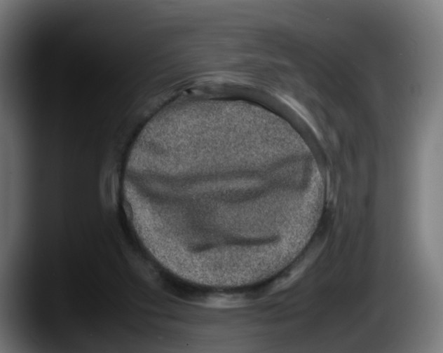 X0000087560109200705251808