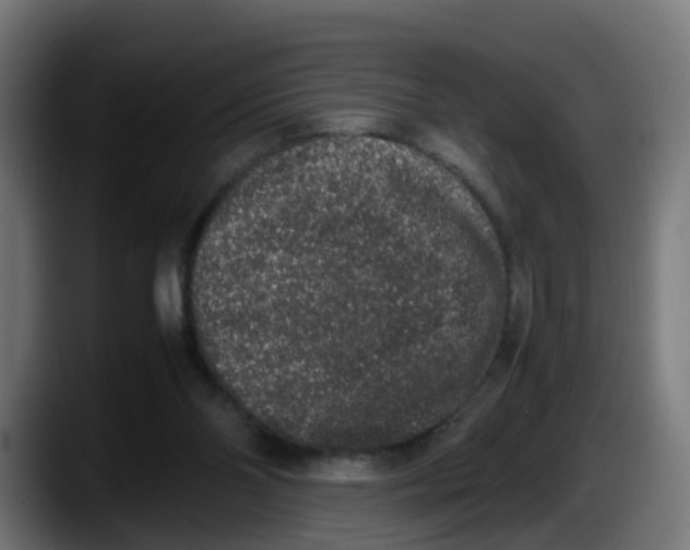 X0000087560110200705251808