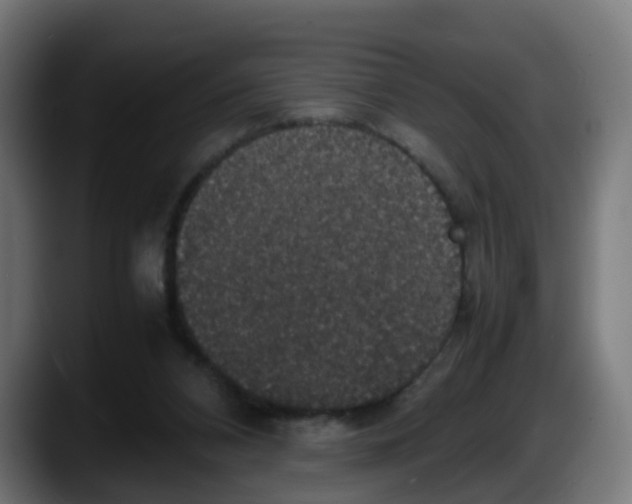 X0000087560112200705251808