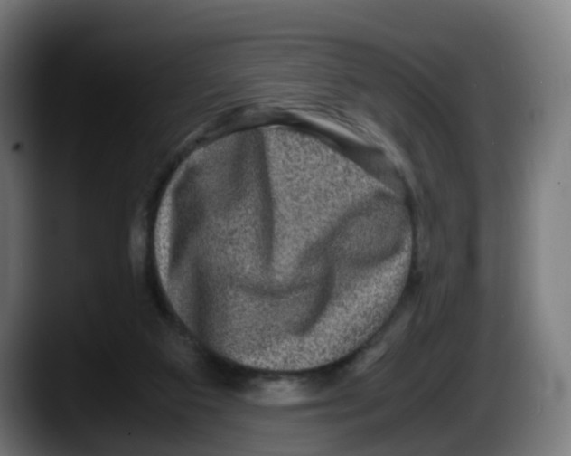 X0000087560113200705251808