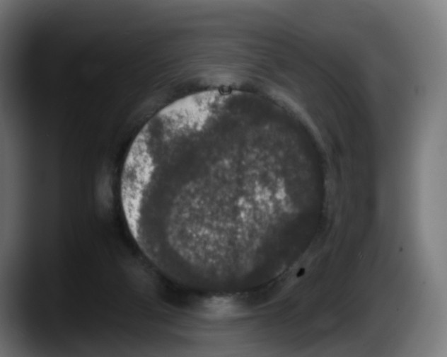 X0000087560114200705251808