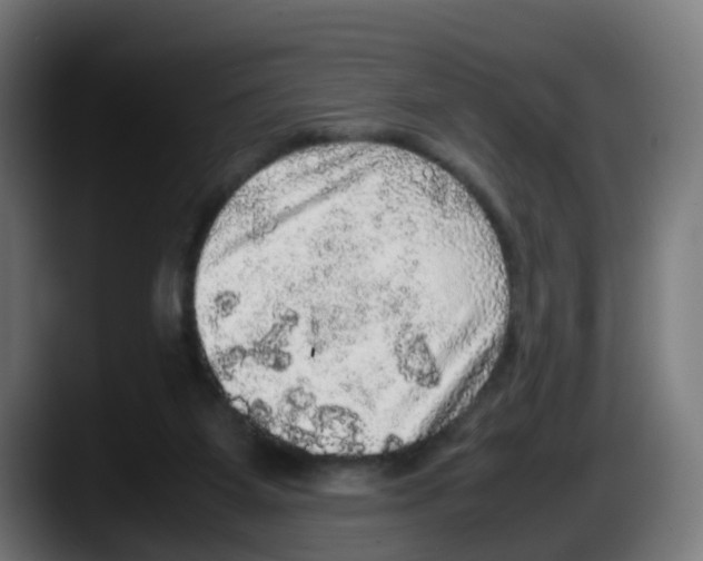 X0000087560115200705251808