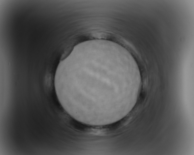 X0000087560121200705251808