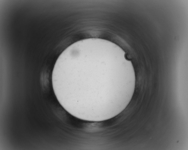 X0000087560122200705251808