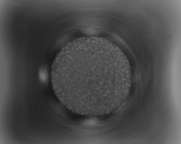 X0000087560124200705251808