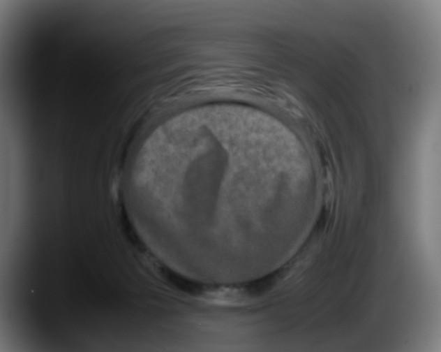 X0000087560125200705251808