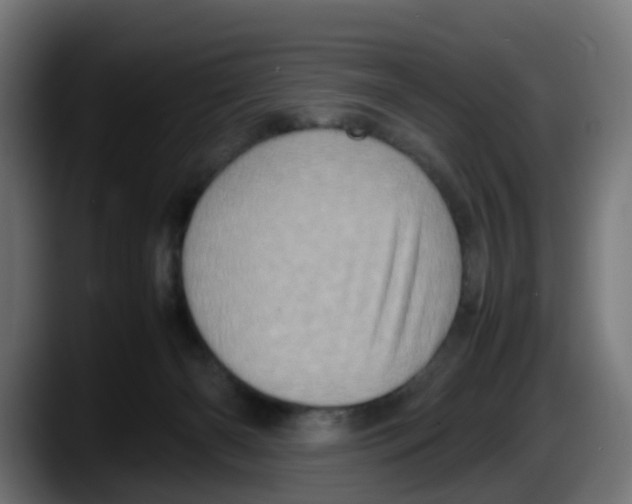 X0000087560126200705251808