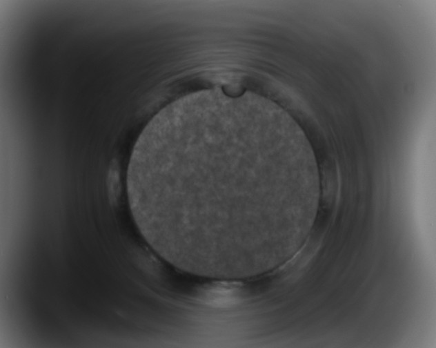 X0000087560128200705251808